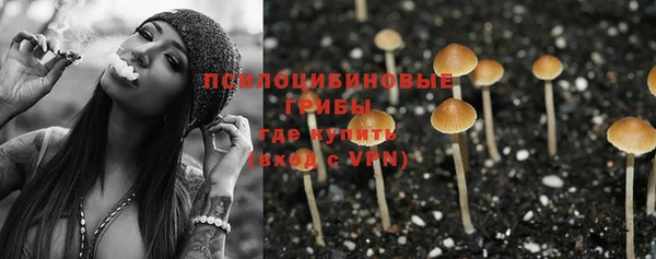 не бодяженный Абаза